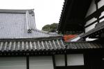 東福寺の連なる甍