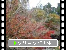談山神社の晩秋、紅葉と十三重塔
