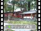 奈良公園内風景集