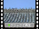 青空と観世音寺のハト