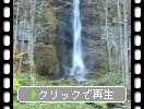 奥入瀬・白布の滝