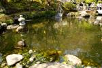 長谷寺の園池