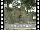 夏の彦根城「太鼓門櫓」