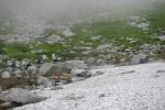 雪渓が残る千畳敷カール