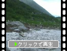 駒ヶ岳千畳敷カールと雪渓と山霧