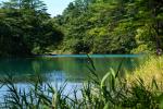 青い水面と深緑期の毘沙門沼