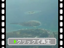 飛行機から見た沖縄の島々