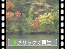 野尻湖畔の秋模様