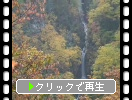 紅葉の「松川渓谷と八滝」