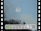 志賀高原の残月と朝霧