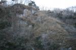冬の「袋田の滝」の断崖