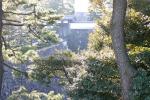 朝日に照る江戸城の北桔橋（はねばし）門