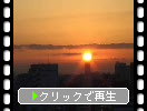 東京のビル街での「日の出」