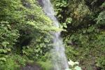 九酔渓の「七折れの滝」