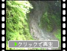 深緑期の九酔渓「つららの滝」