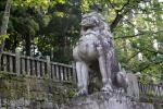 夏の戸隠神社中社、入り口の狛犬像