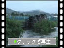 「朝倉三連水車」近くの夏の稲田とキョウチクトウ