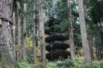 杉林の中の「羽黒山五重塔」