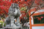 福岡の紅葉八幡宮、紅葉下の狛犬像