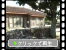竹富島の「民家集落と水牛車遊覧」