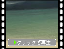 小浜島・細崎海岸のさざ波