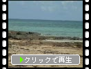 珊瑚の島、小浜島の青い海と浜辺