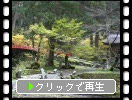 出羽三山神社の参道、朱塗りの「神橋」