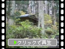 出羽三山神社参道の「一の坂」