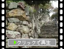 秋の浜松城「野面積み石垣と天守閣」
