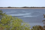 春の「風蓮湖」