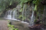 箱根の「千条の滝」
