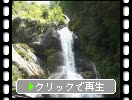初夏の「「見返りの滝」、新緑と濡れる岩