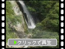 緑に囲まれた「観音の滝」の滝壺
