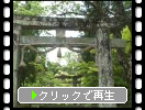 肥前・多久神社の鳥居と参道