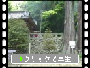 多久八幡神社の神木「三本杉」