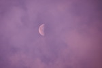 薄雲の向こうの月