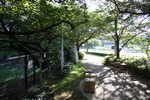晩夏の桧原桜公園