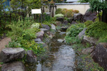 松本「源地の湧水」の小公園