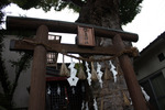 松本の湧泉そばの「槻井泉神社」