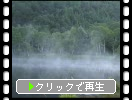 志賀高原「木戸池」の水面を流れる朝霧
