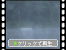 志賀高原「木戸池」のボートと朝霧