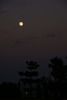 日暮れの満月