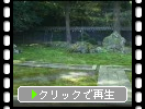 越前・瀧谷寺の「石庭の岩・苔・花」