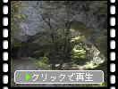 秋の帝釈峡、天然岩の「雄橋」と黄葉