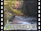 秋の帝釈峡、渓流と舞う黄葉・紅葉