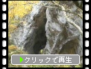 秋の帝釈峡、黄葉と「鬼の唐門」