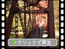 帝釈峡「神龍湖」の「神龍橋」と黄葉・紅葉