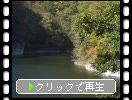 帝釈峡「神龍湖」の秋模様