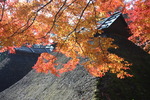 茅葺き屋根の「本堂と紅葉」
