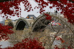 カエデの紅葉と錦帯橋